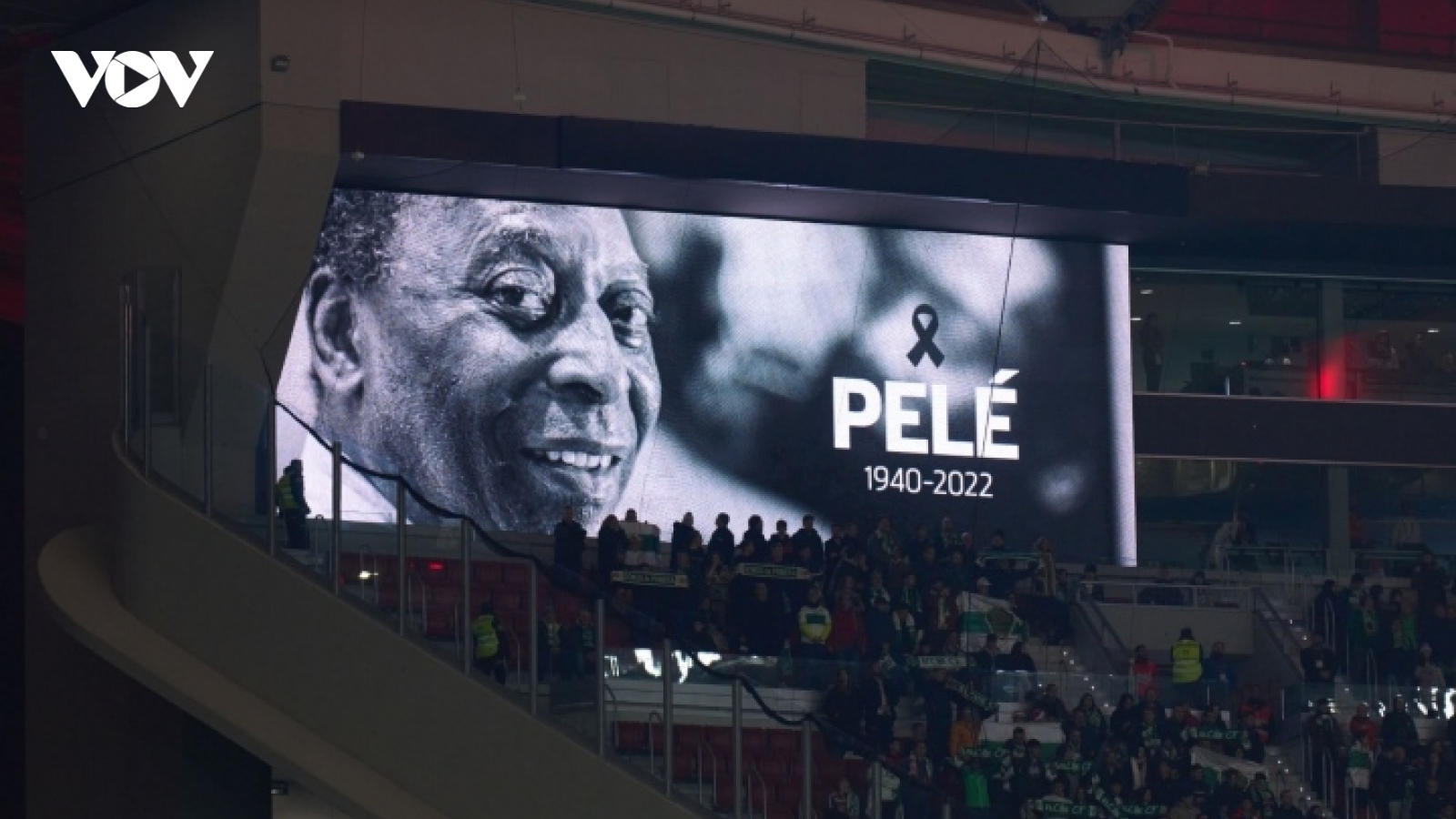 Chủ tịch VFF: “Pele là cầu thủ có một không hai”