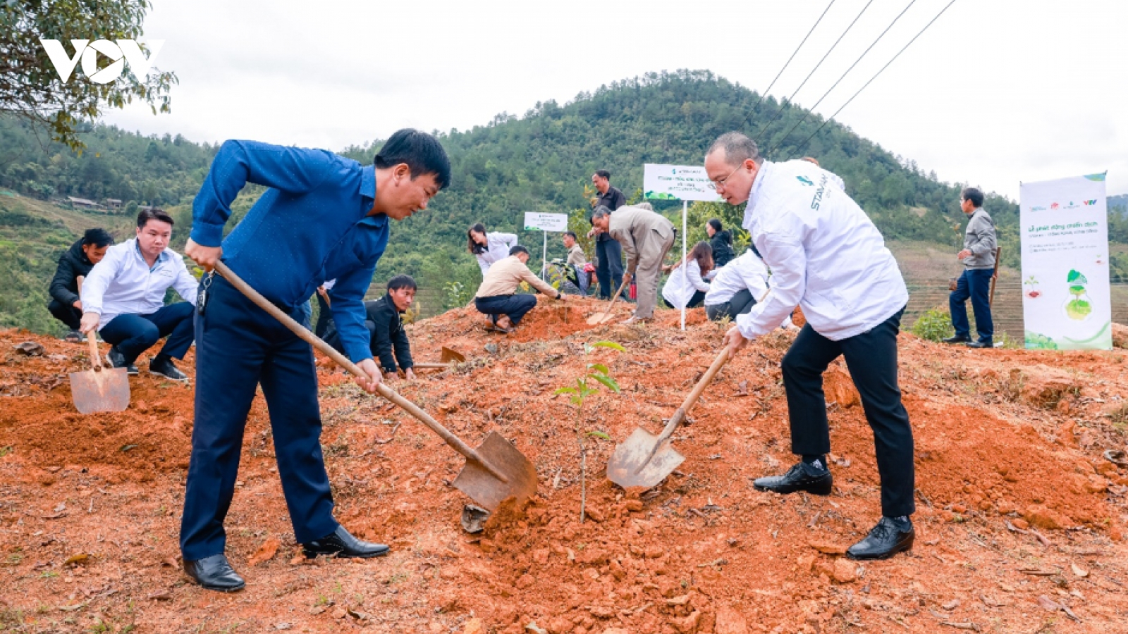 Phát động chiến dịch “Stavian - Trồng rừng Vững sống”