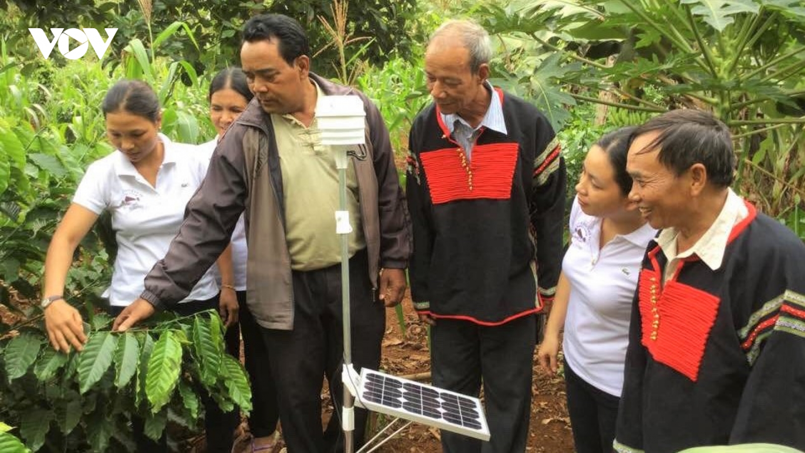 Thay đổi tập quán sản xuất, người dân tộc thiểu số ở Đắk Lắk có cuộc sống ấm no
