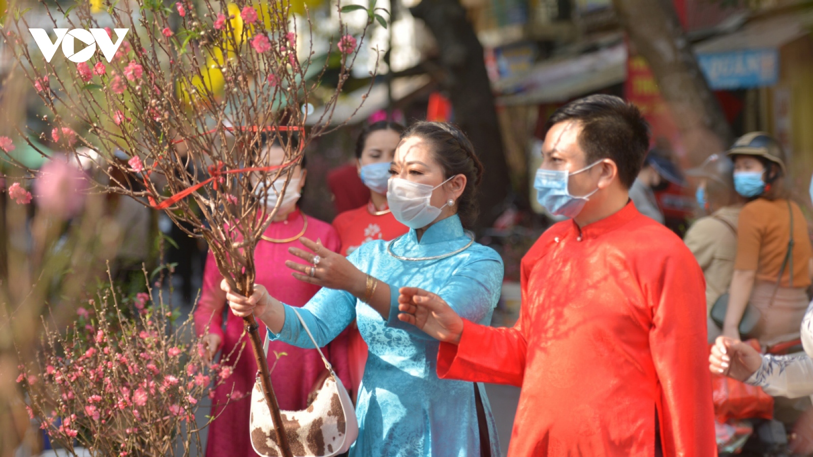 Hanoi gears up to open 91 spring flower markets ahead of Tet