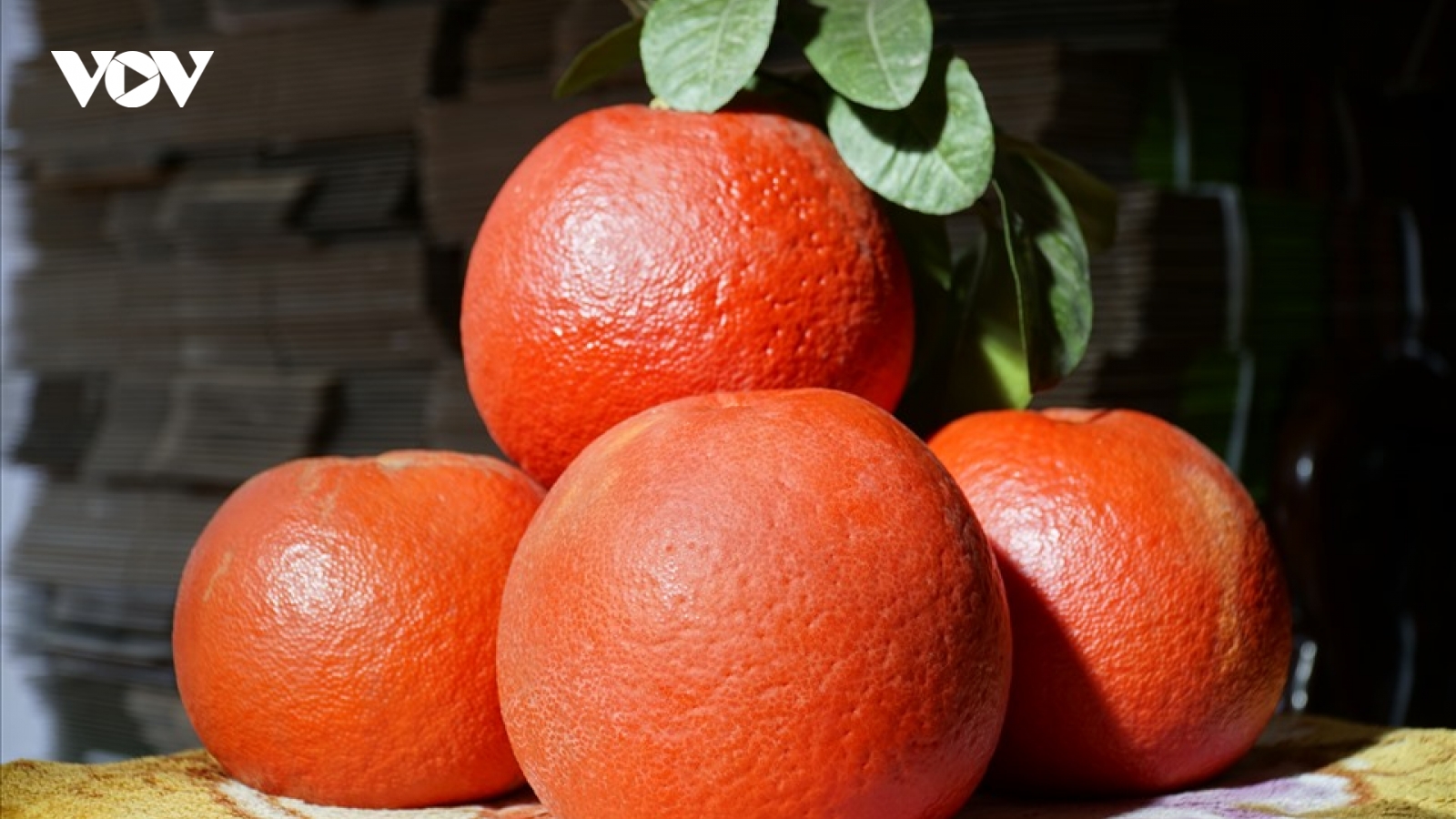 Bưởi đỏ như son giá đắt “khét lẹt” vẫn hút khách