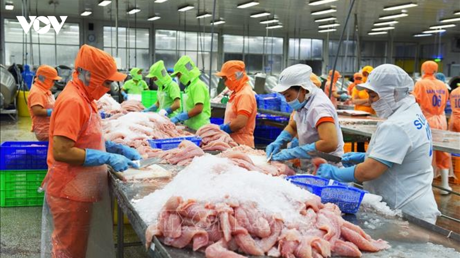 Triển vọng tiêu thụ cá tra Việt Nam tại Mỹ năm 2023
