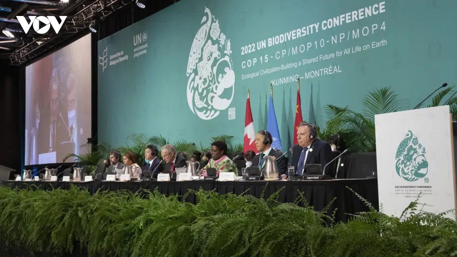 COP15 bế mạc với thỏa thuận tham vọng về bảo tồn đa dạng sinh học