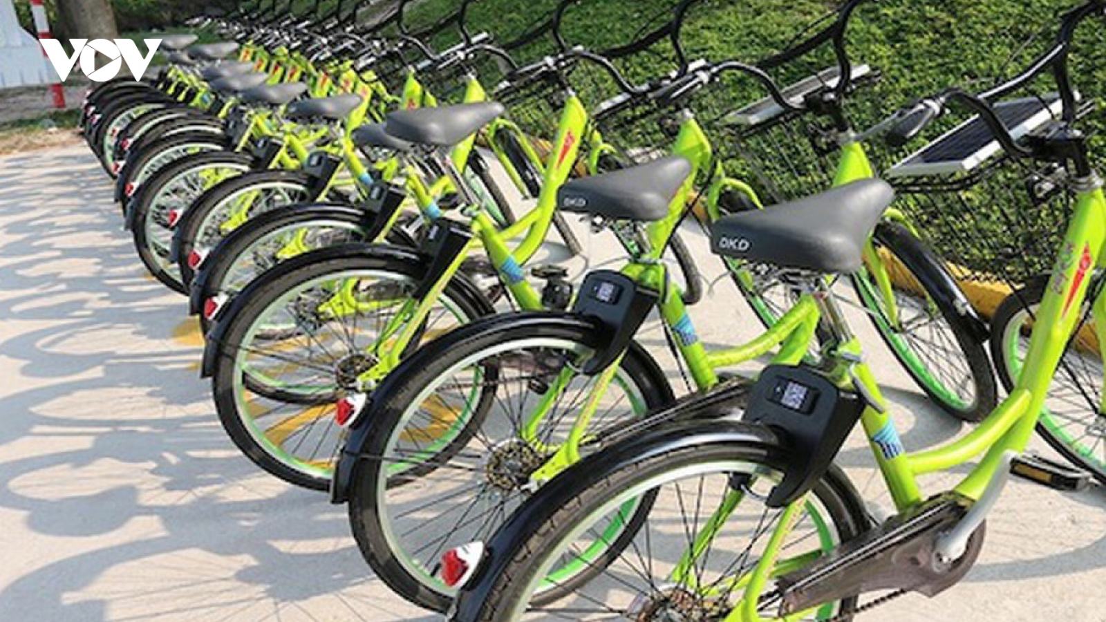 Mong chờ gì nếu Hà Nội thí điểm thuê xe đạp?