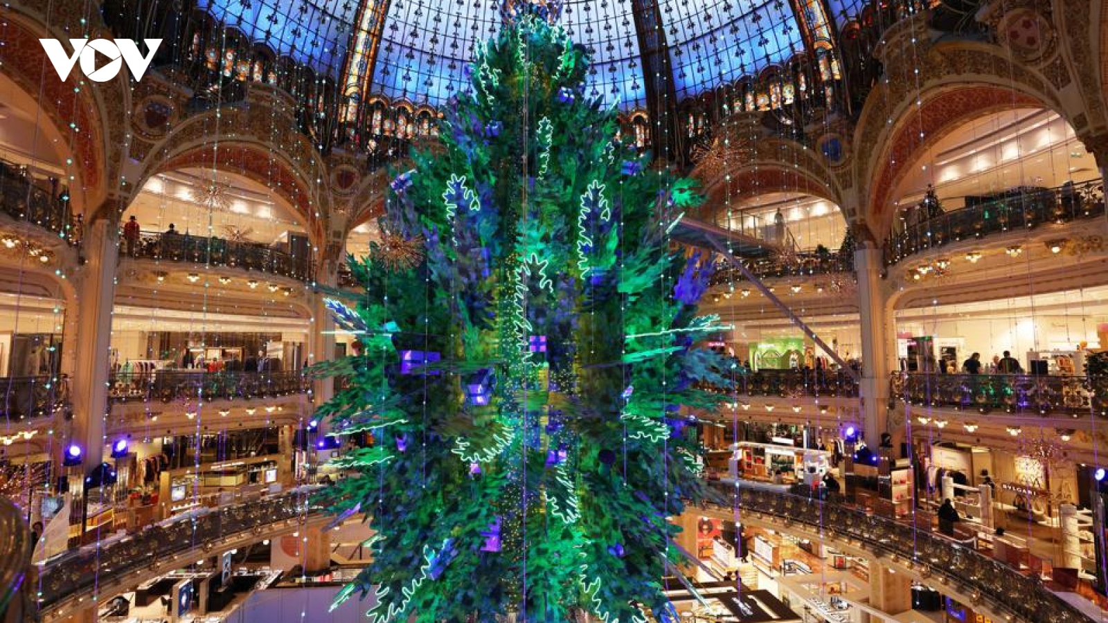 Chiêm ngưỡng những cây thông Noel độc đáo và hoành tráng trên thế giới