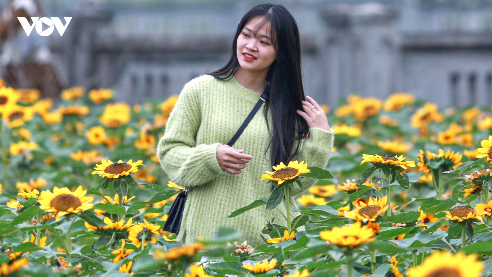 Hàng nghìn du khách đổ về Mê Linh trong ngày khai mạc lễ hội hoa lớn nhất Thủ đô