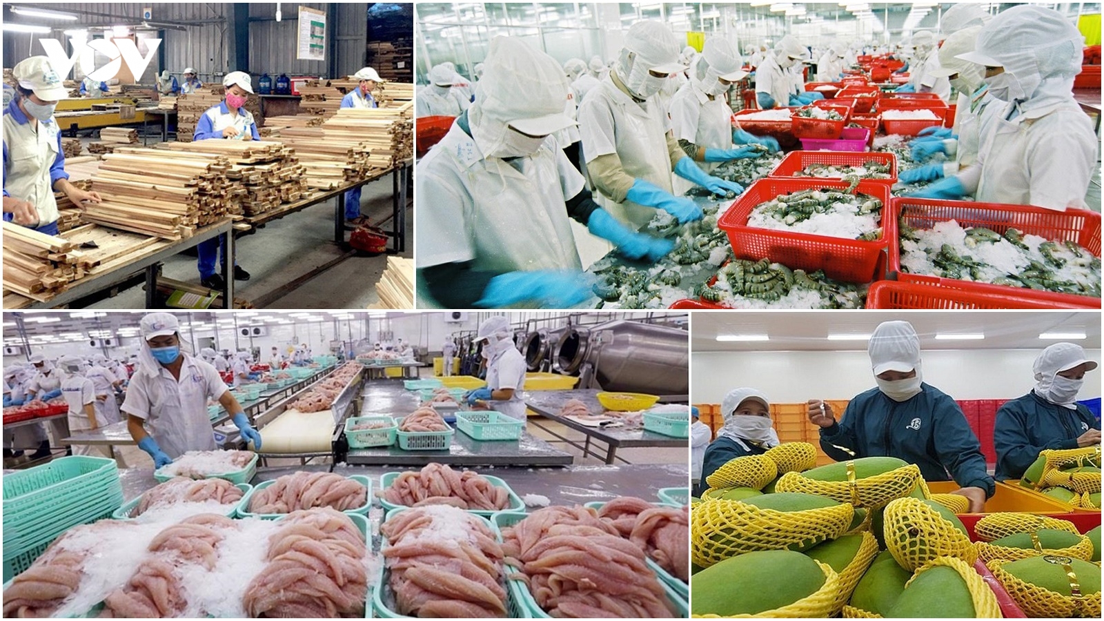 Kim ngạch xuất khẩu nông, lâm, thủy sản năm 2022 đạt hơn 53 tỷ USD