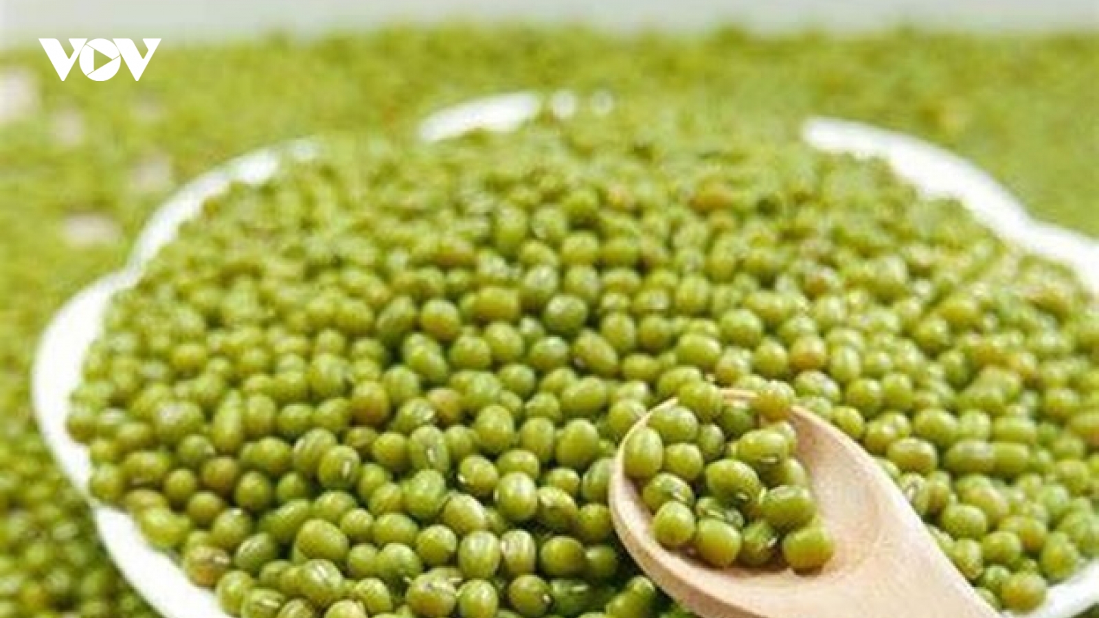 Công dụng thần kỳ của đậu xanh có thể bạn chưa biết