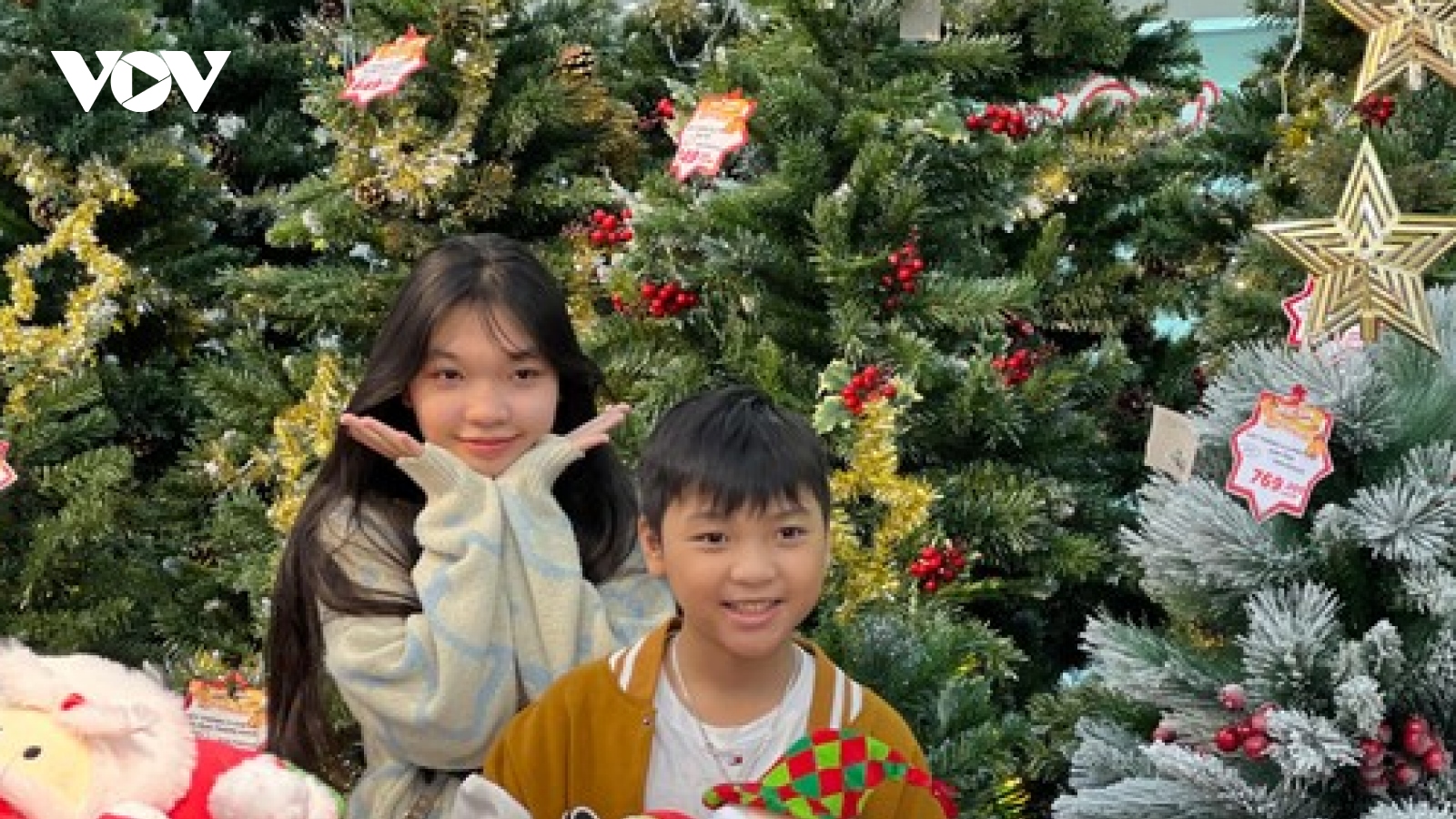 Thị trường Noel tại Đà Nẵng bắt đầu sôi động