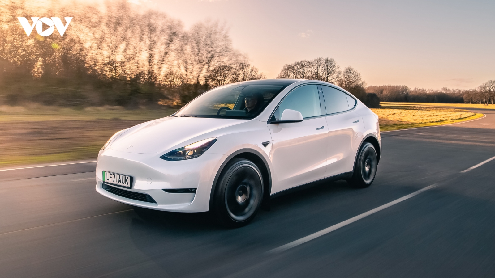 Chủ sở hữu Tesla bị mắc kẹt bên trong xe Model Y