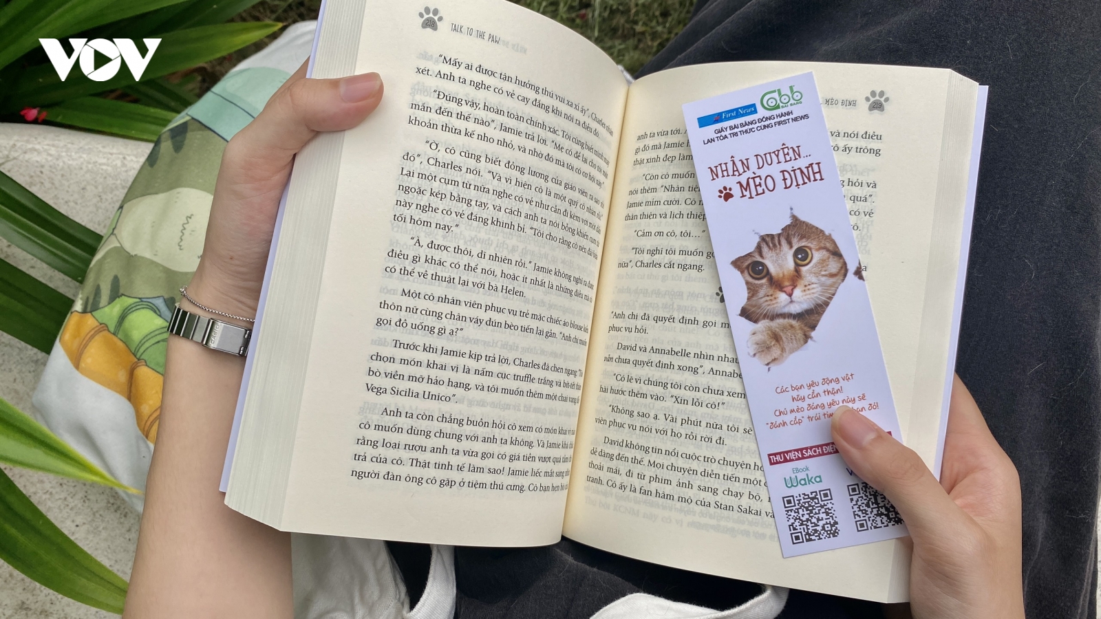 “Nhân duyên Mèo định” - Tình yêu và sự chữa lành sẽ đến khi ta sẵn sàng đón nhận