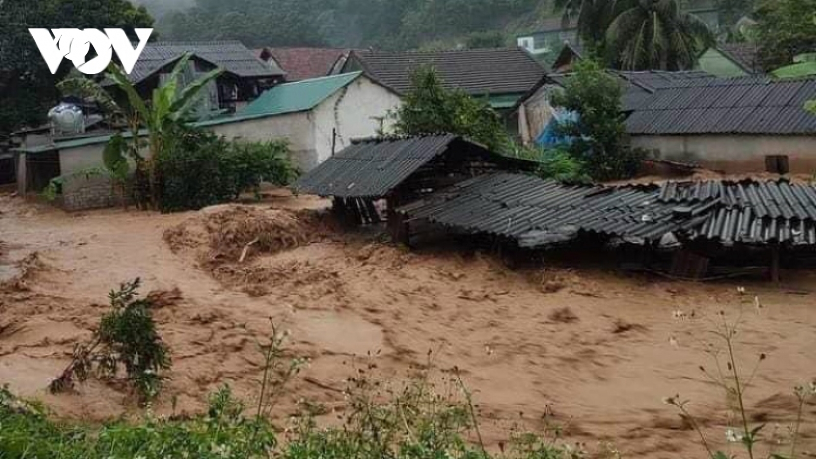 Hồi sinh trên đất lũ Kỳ Sơn
