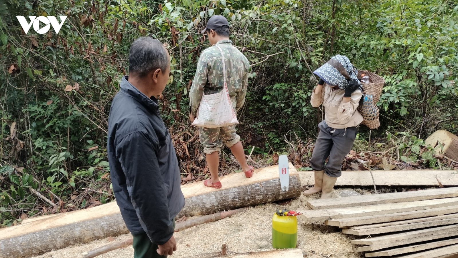 Xử phạt gần 20 triệu đồng 1 đối tượng mang cưa xăng ngang nhiên phá rừng