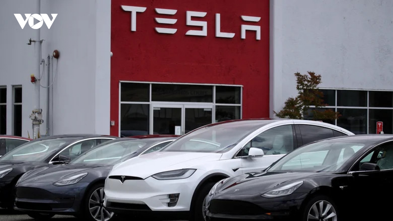 Giá xe Tesla đã qua sử dụng giảm đáng kể