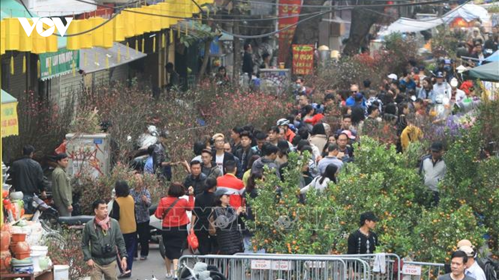 Chợ hoa Hàng Lược tấp nập những ngày cận Tết Nguyên đán