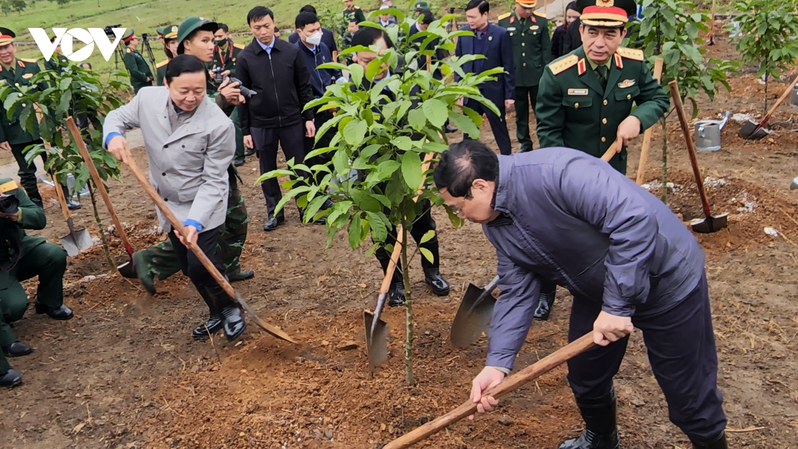 Thủ tướng kêu gọi Nhân dân hăng hái tham gia trồng cây ngay từ những ngày đầu xuân