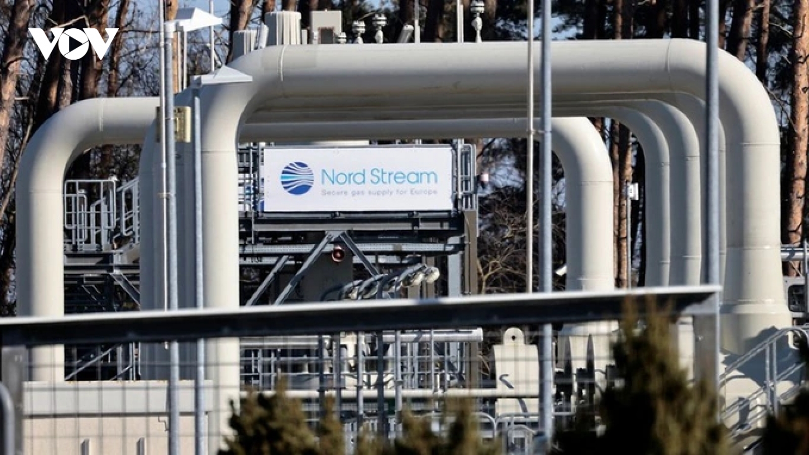 Người đứng đầu Nord Stream khẳng định Nga không phá hoại đường ống dẫn khí đốt