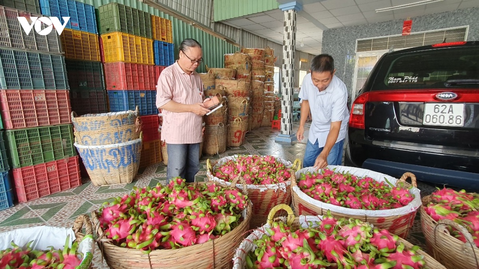 Doanh nghiệp nông sản “loay hoay” khi Trung Quốc mở cửa khẩu