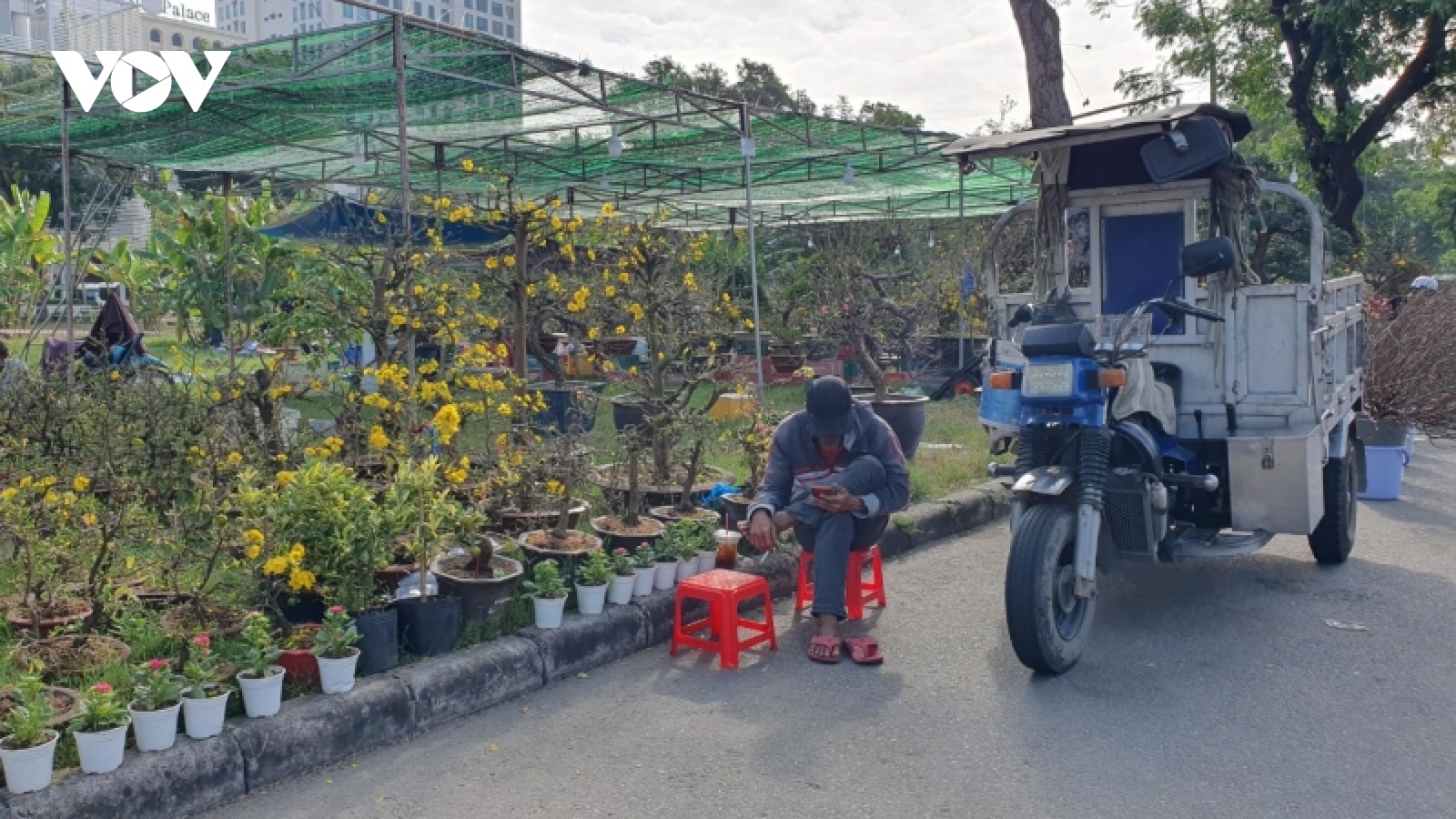 Chợ hoa Tết ở TP.HCM đìu hiu, rau củ quả và trái cây hút hàng