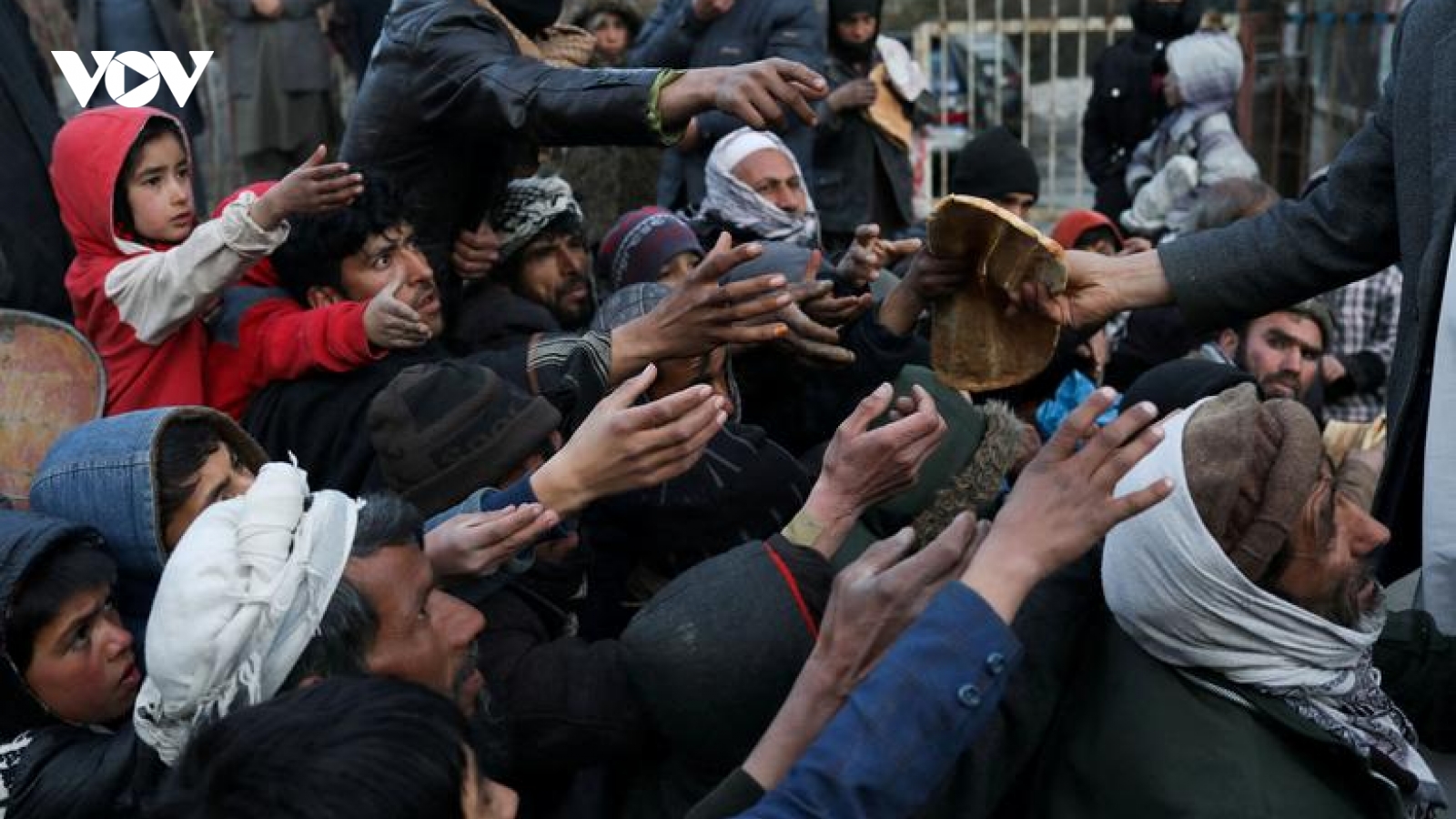 6 triệu người Afghanistan phải chịu nạn đói trong mùa đông năm nay