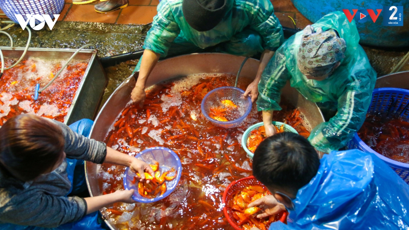 Nhộn nhịp xuyên đêm chợ “phương tiện” tiễn Táo quân về trời