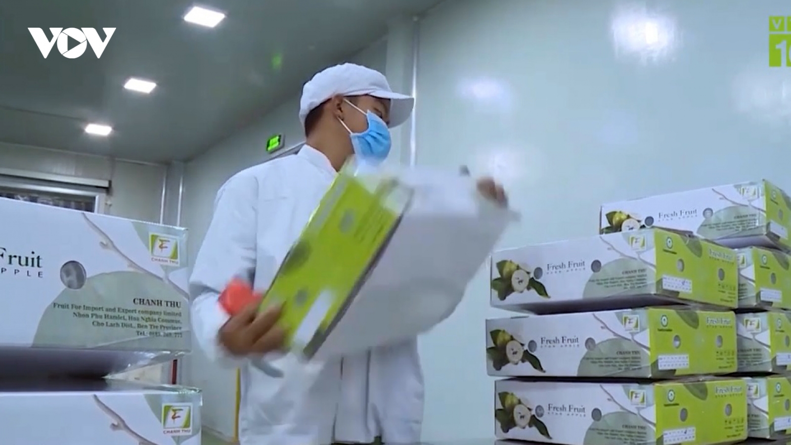 Xuất khẩu nông sản bền vững từ con đường chính ngạch