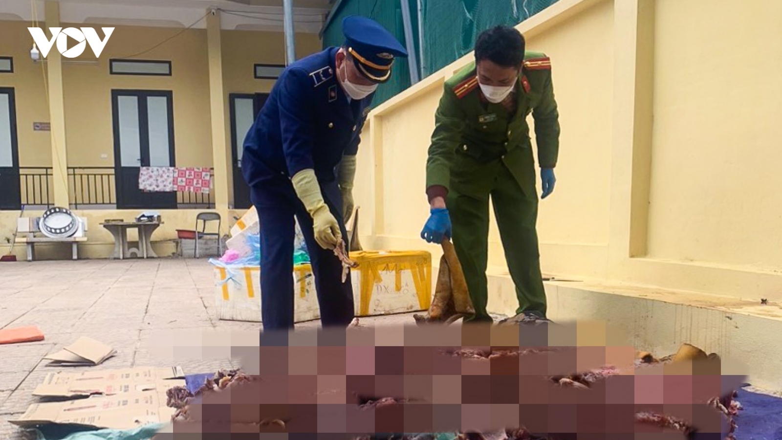 Mang 400 kg nội tạng “bẩn” đi tiêu thụ thì bị bắt