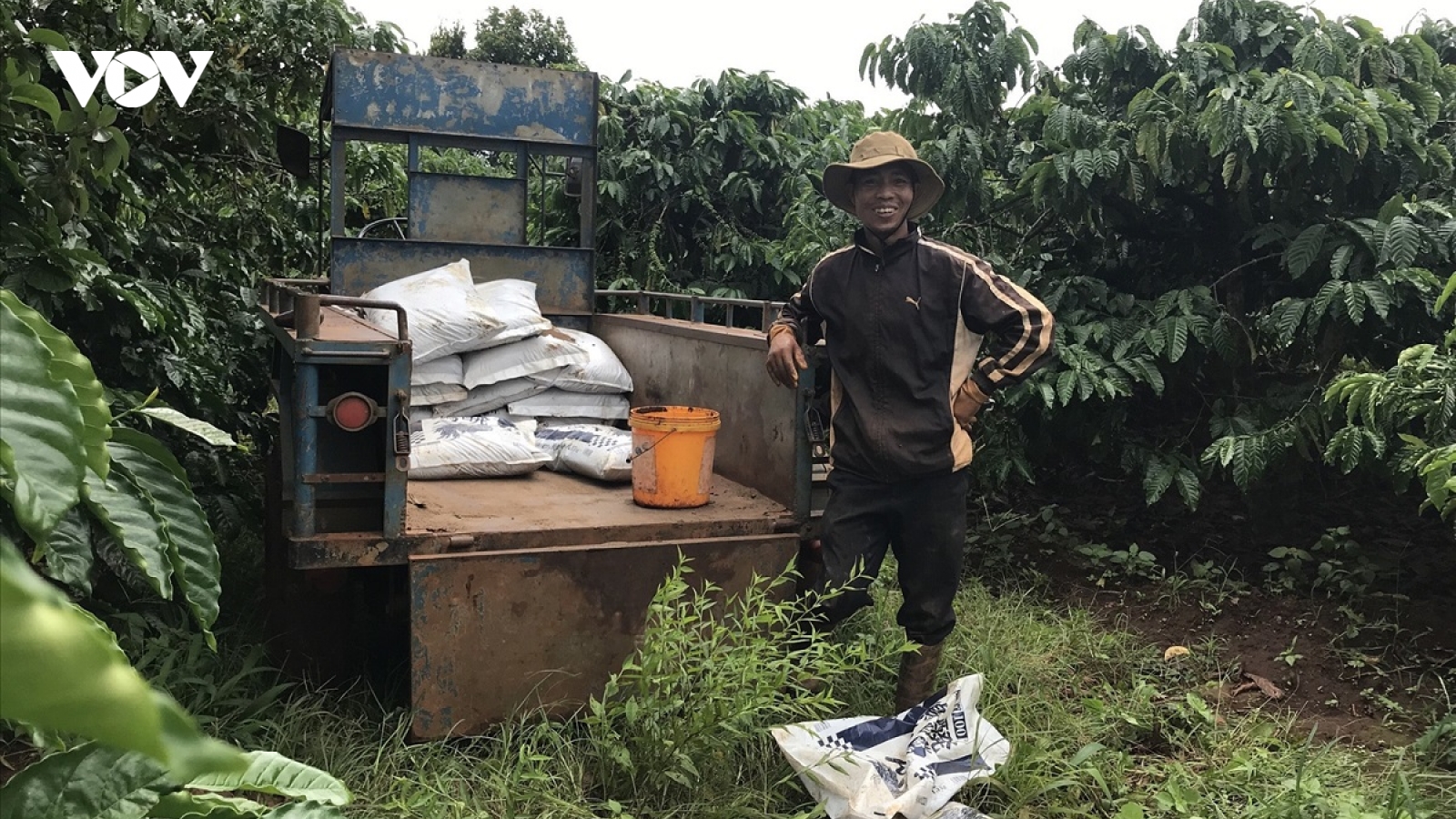 Bà con Ba Na xóa đói giảm nghèo nhờ làm cà phê sạch