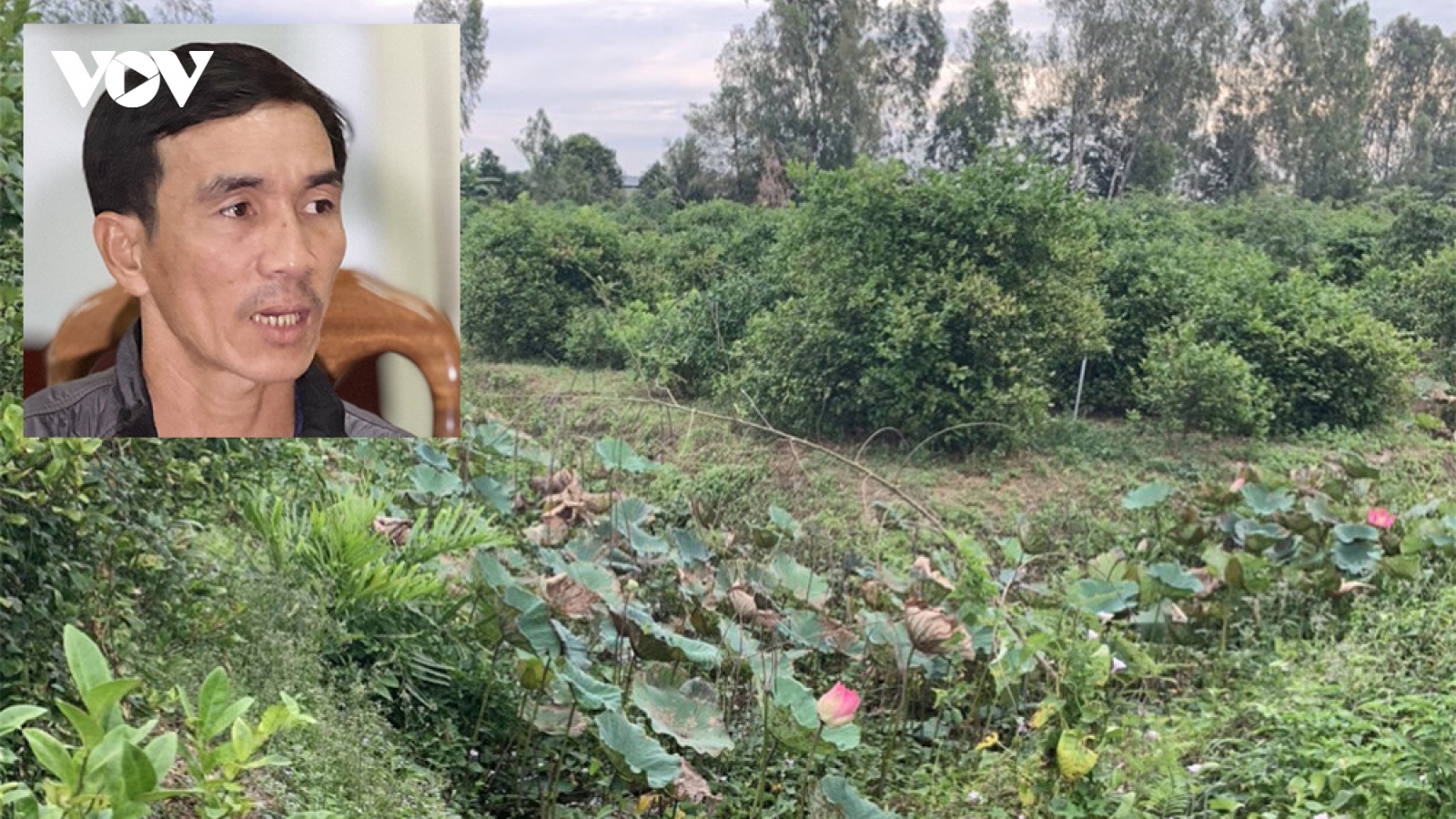 Bắt nghi phạm giết người đàn ông chạy xe ôm, bỏ xác vào vườn chanh