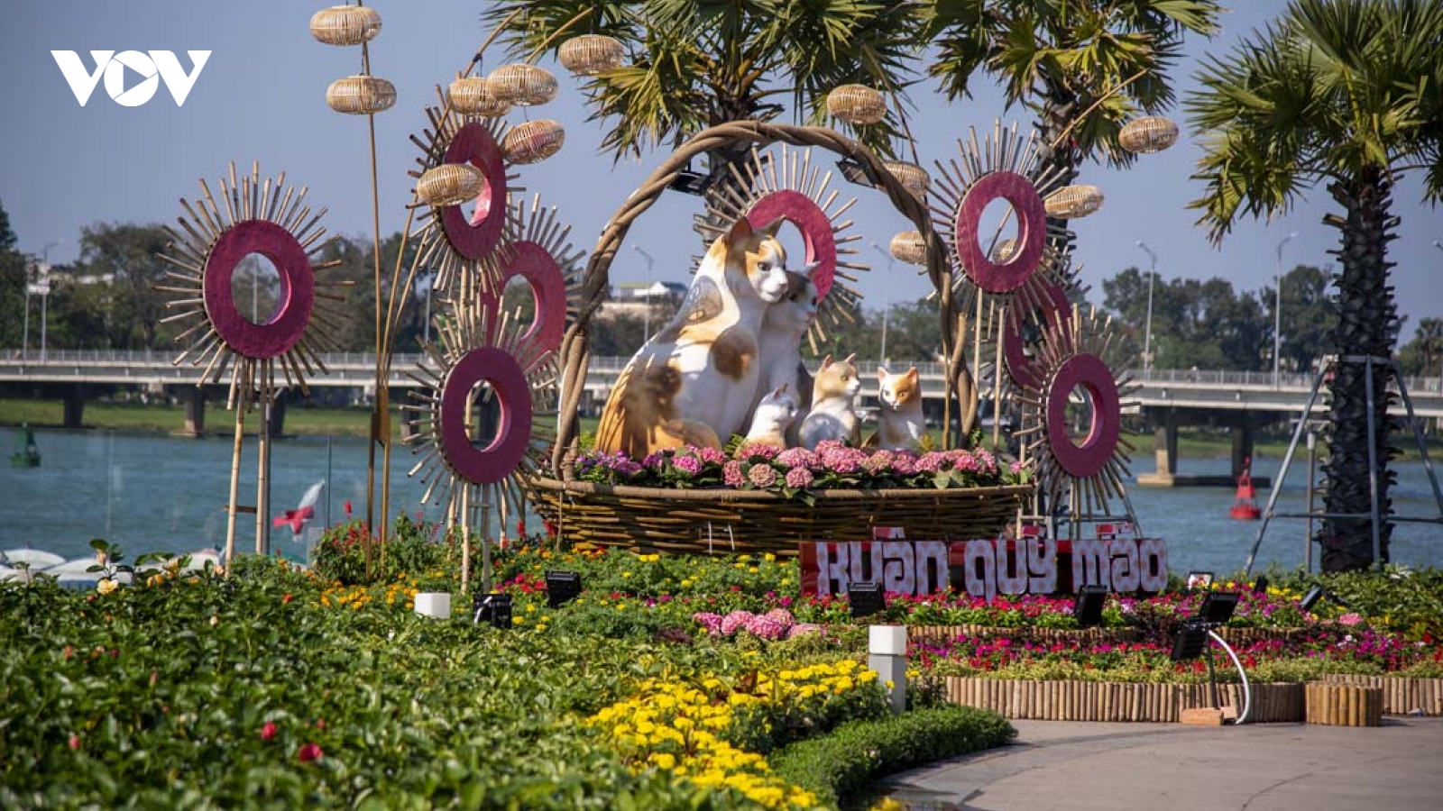Cận cảnh linh vật "Đại gia đình mèo" dễ thương bên sông Hương