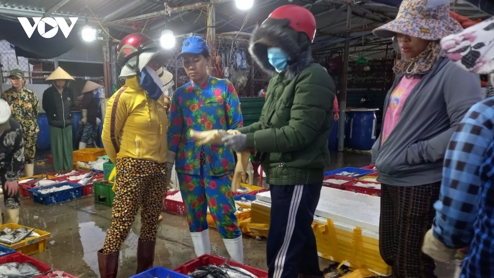 Ngư dân Khánh Hòa tất bật chuyến biển cuối năm