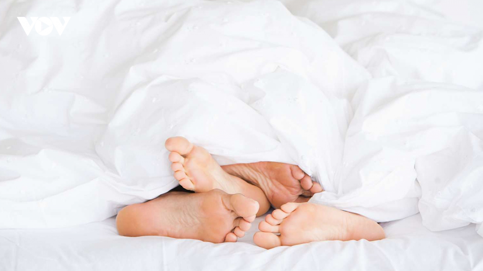 Đừng để chăn gối nhà bạn cũng ngủ đông