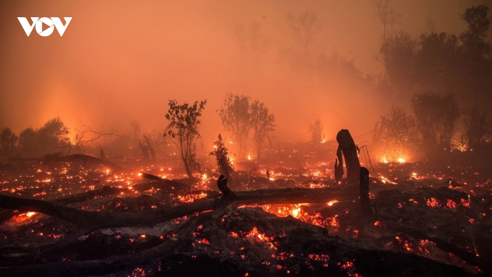 Indonesia đối mặt với nguy cơ cháy rừng lớn hơn trong năm 2023