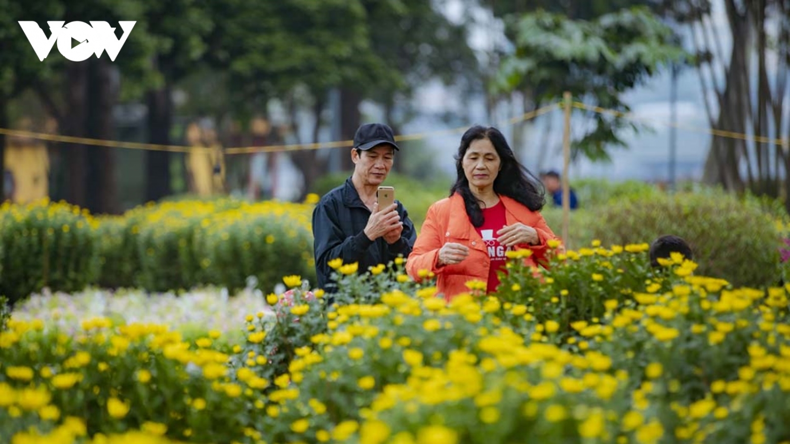 Dạo chơi chợ hoa cố đô Huế ngày 30 Tết Quý Mão