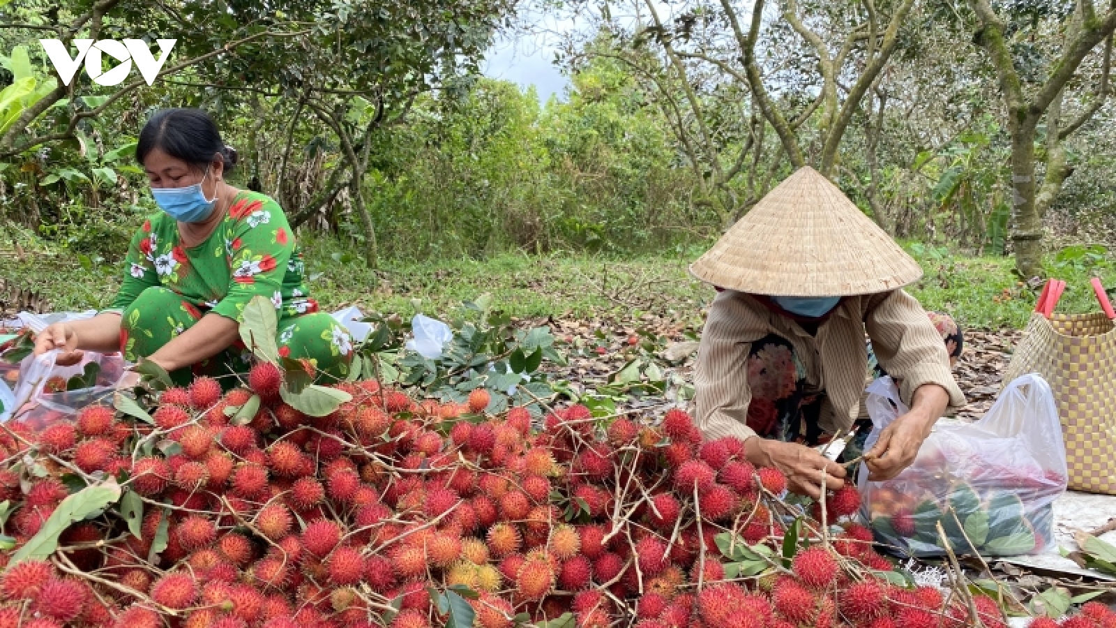 Bến Tre đẩy mạnh xuất khẩu nông sản trong năm 2023