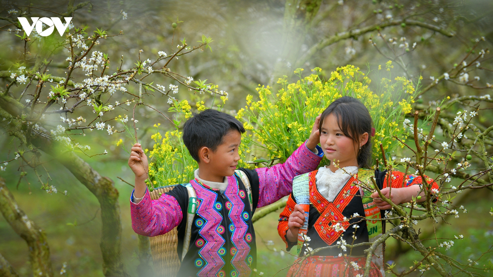 Vui xuân trên cao nguyên Mộc Châu