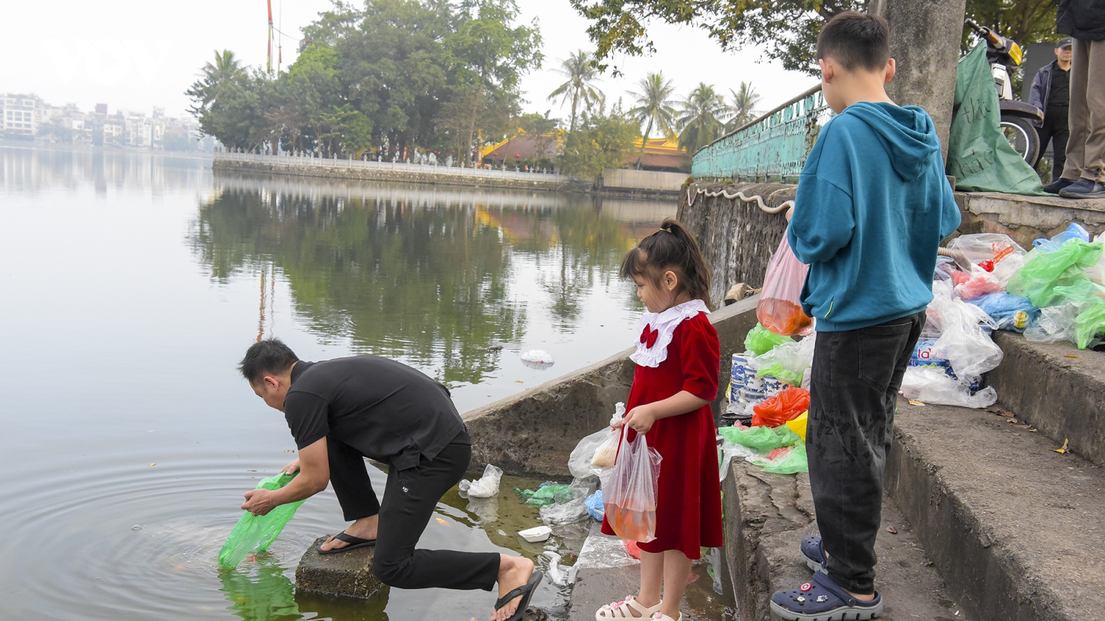 Cá chép tiễn ông Công ông Táo chết hàng loạt, sư thầy đi dọn rác ven hồ