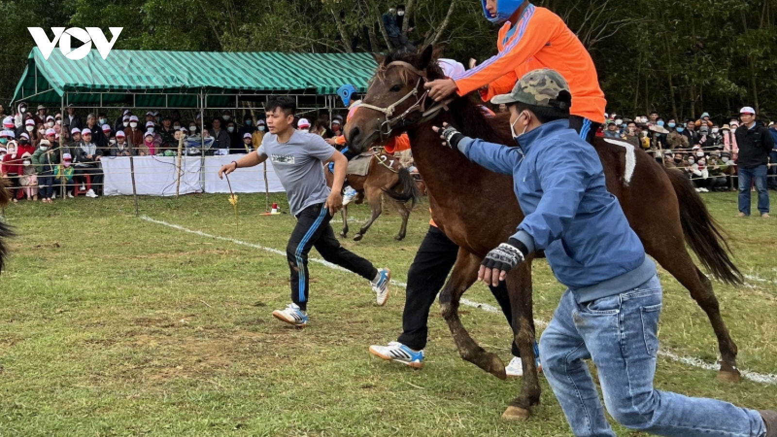 Tưng bừng lễ Hội đua ngựa gò Thì Thùng, Phú Yên