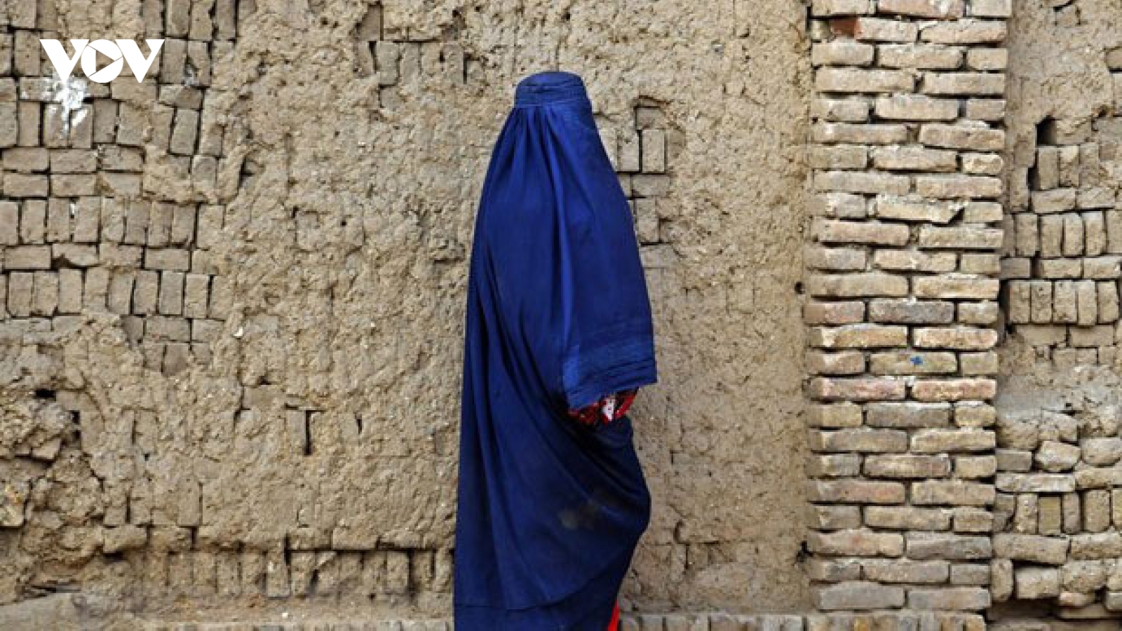 Hội đồng Bảo an LHQ họp nhóm về lệnh cấm của Taliban đối với nữ nhân viên viện trợ