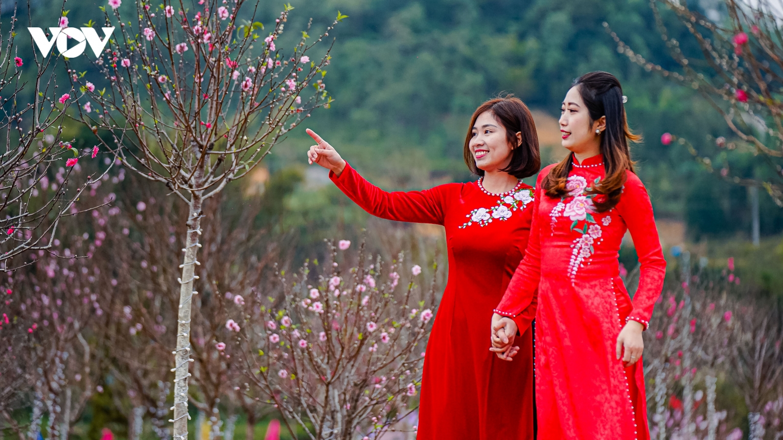 Khai mạc Lễ Hội Hoa Đào Xứ Lạng lớn nhất miền Bắc dịp Tết Nguyên Đán