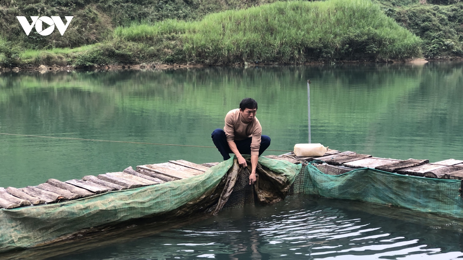 Thoát nghèo nhờ nuôi cá lồng trên lòng hồ thuỷ điện sông Nho Quế