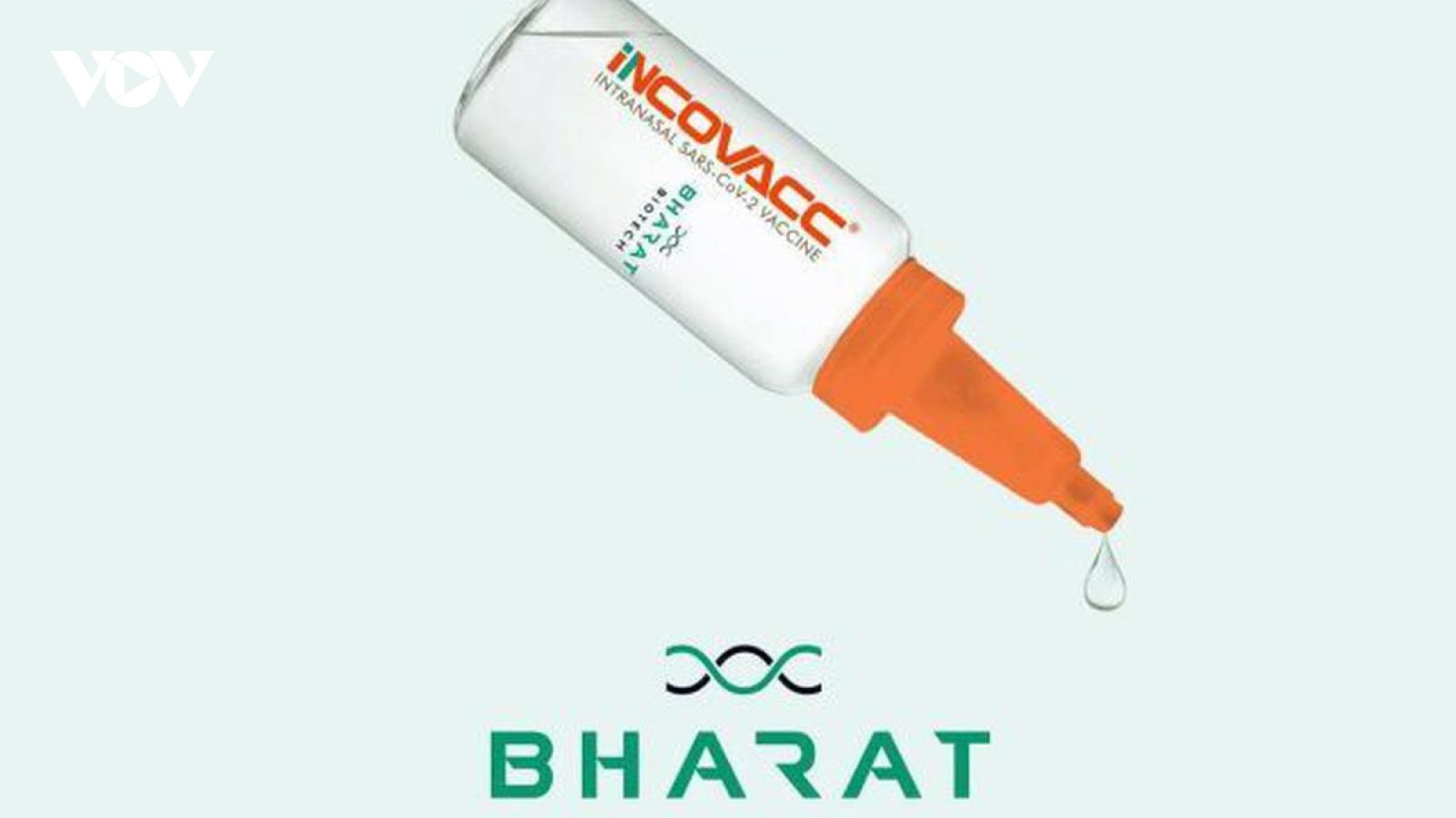 Ấn Độ chuẩn bị ra mắt vaccine Covid-19 dạng nhỏ mũi đầu tiên