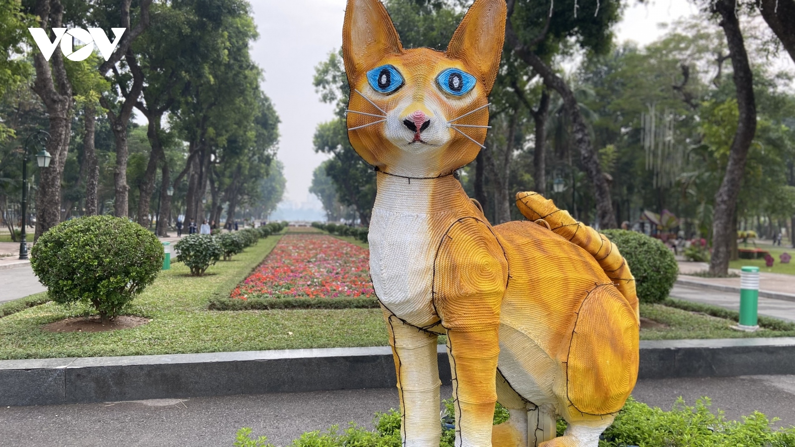 Cận cảnh tượng mèo gây xôn xao ở công viên Thống Nhất, Hà Nội