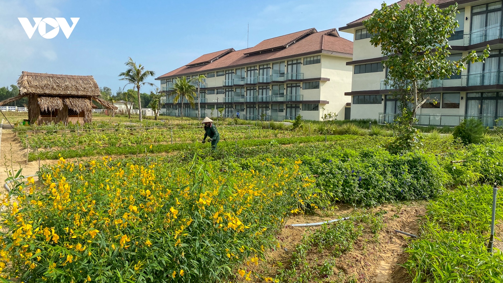 Đến resort trải nghiệm trồng rau, nuôi gà