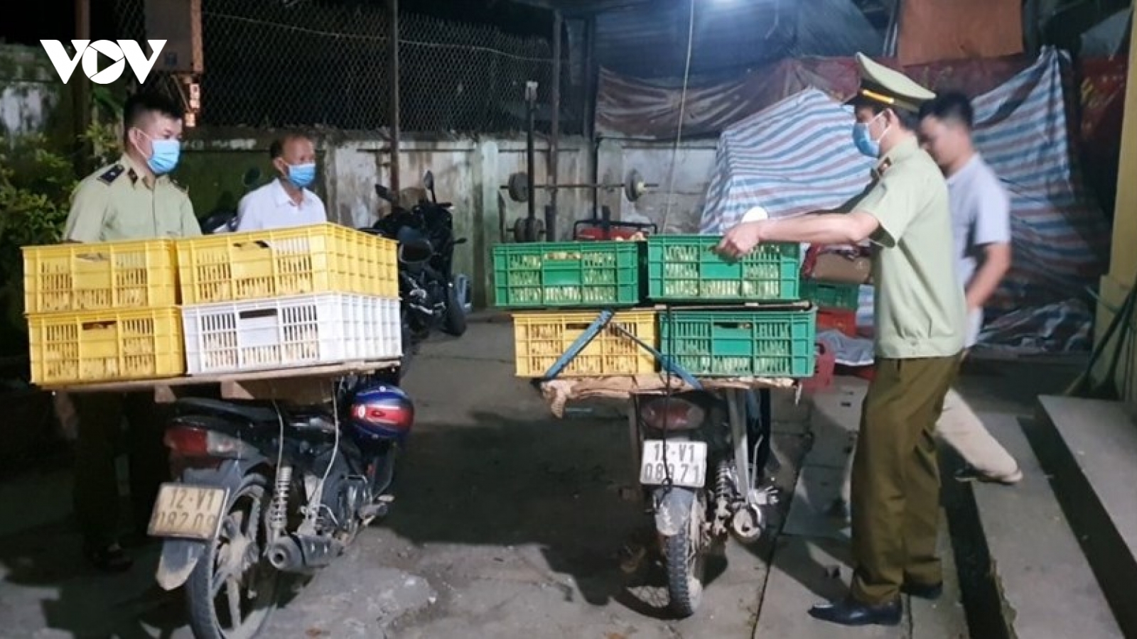 Ngăn chặn nhập lậu gia cầm vào Việt Nam: Bộ NN&PTNT ra công văn khẩn