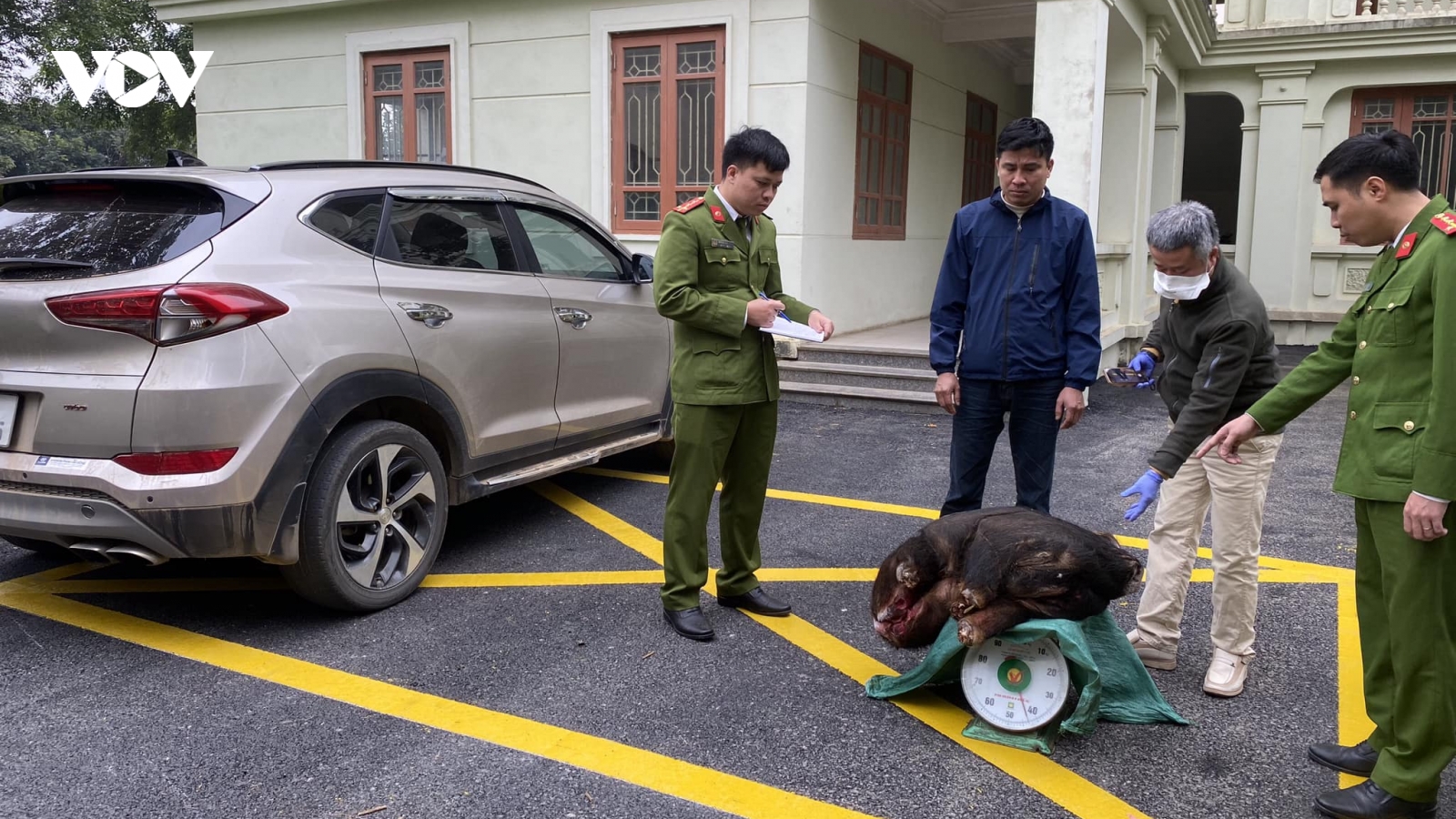 Bắt giữ đối tượng săn bắt, mua bán động vật quý hiếm tại Ninh Bình