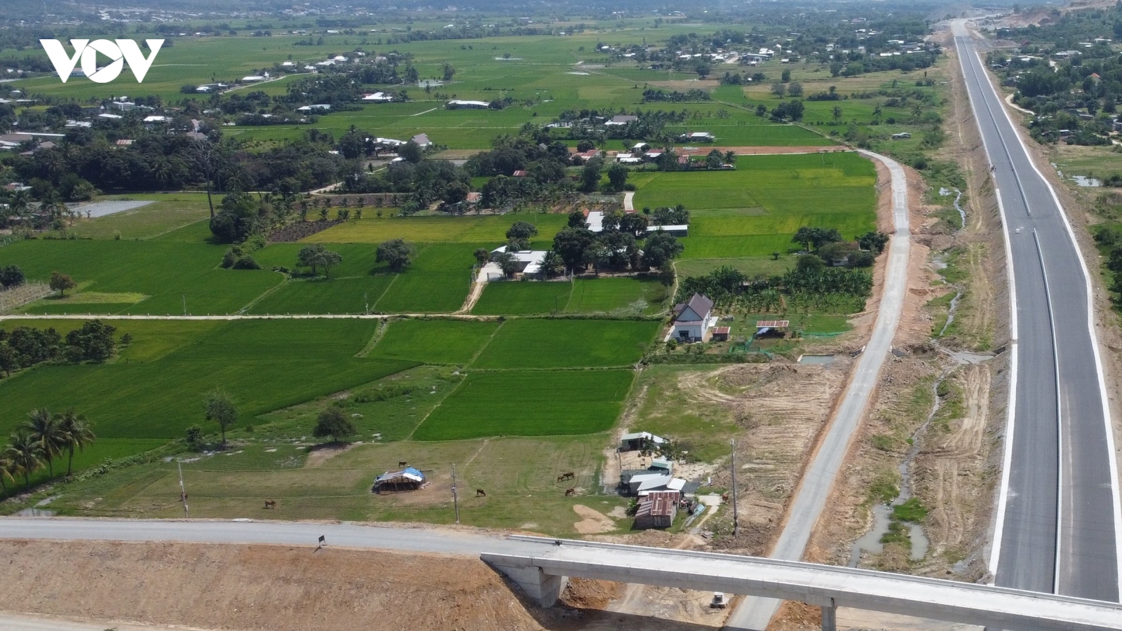 Khánh Hòa được thí điểm chuyển đổi mục đích sử dụng đất trồng lúa dưới 500 héc ta
