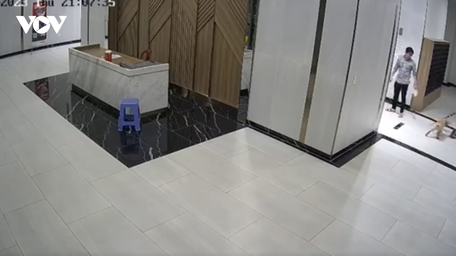 UBND TP.HCM chỉ đạo xử lý nghiêm vụ chủ chó đánh người ở chung cư Quận 7