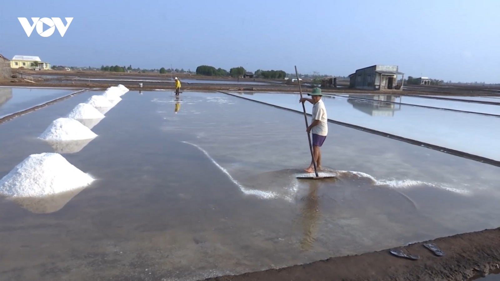 Diêm dân Bạc Liêu lao đao vì mưa trái mùa