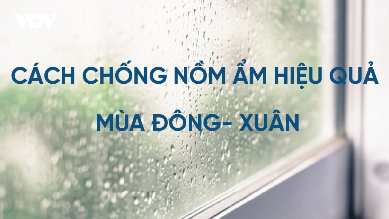 Cách chống nồm ẩm hiệu quả mùa đông - xuân